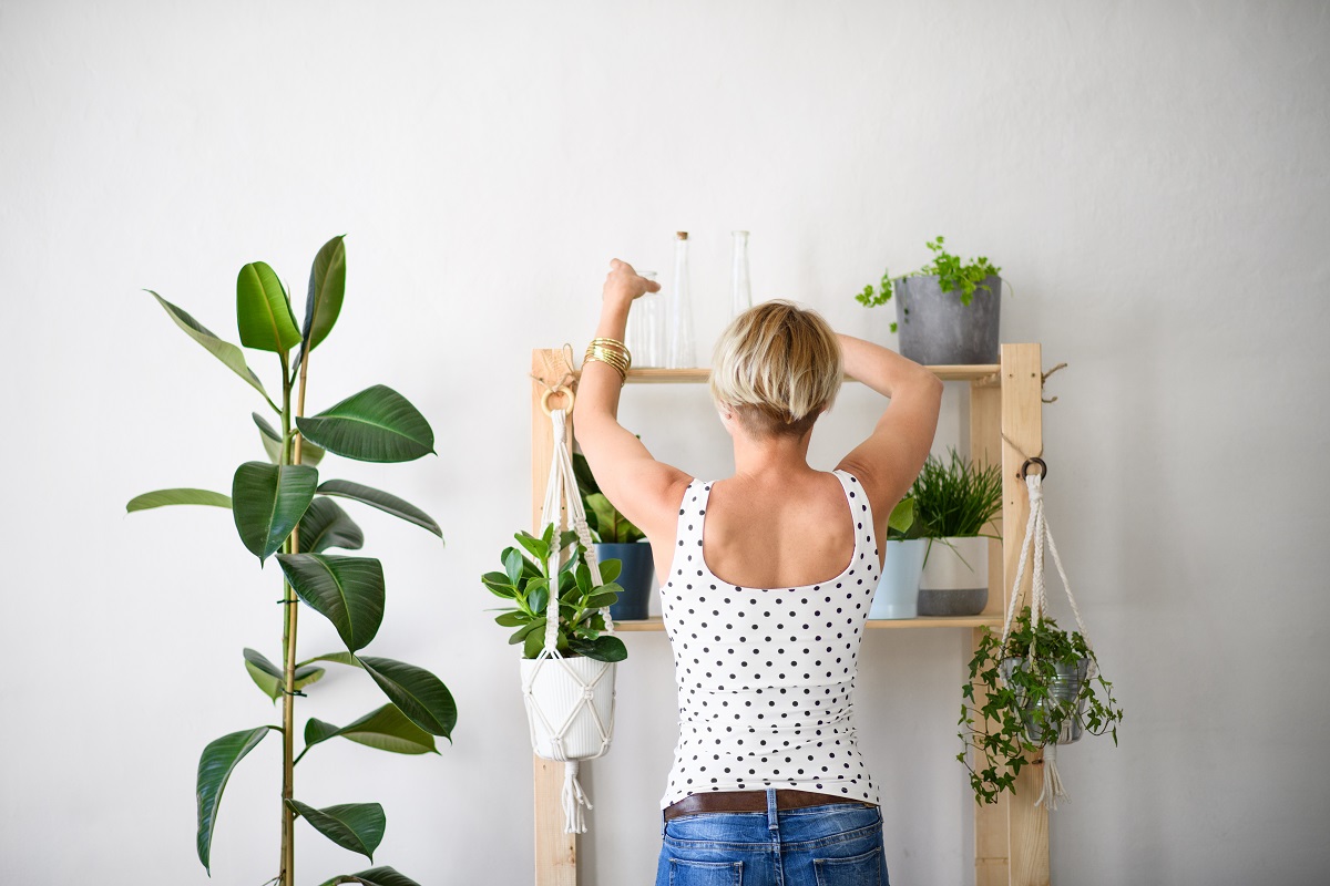 Young woman arranging indoor plants on a shelf.