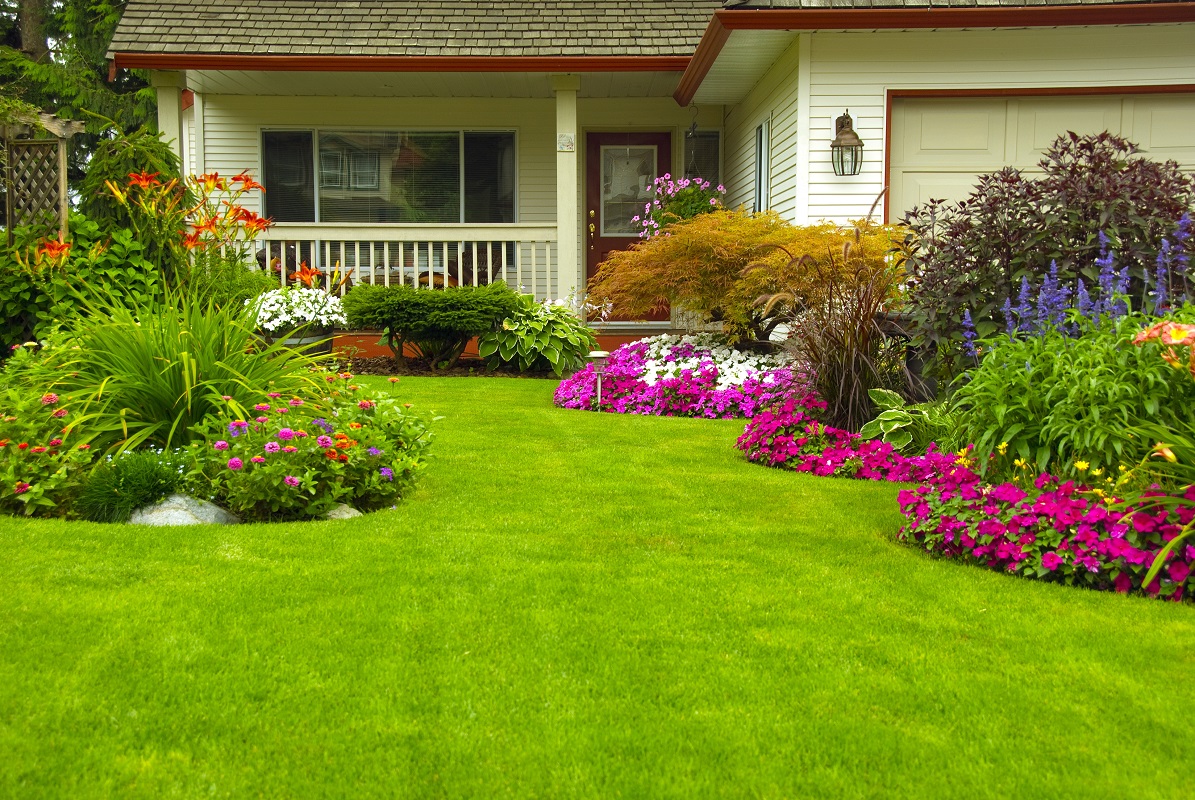 A beautiful landscaped garden